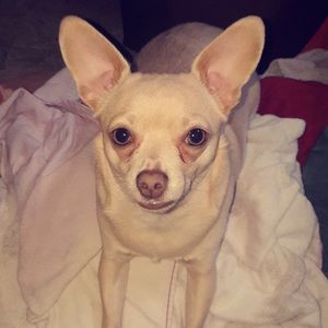 Meet your Posher, Kate